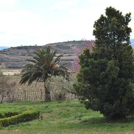 Casa Pichon Etxea Villa La puebla de Labarca Екстериор снимка