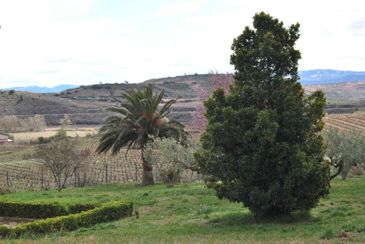 Casa Pichon Etxea Villa La puebla de Labarca Екстериор снимка