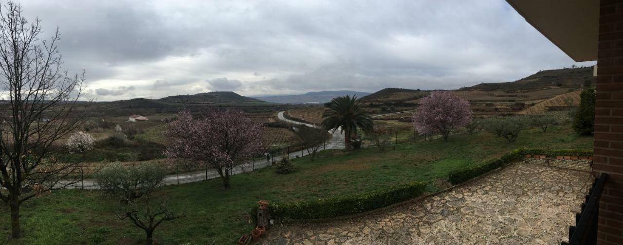 Casa Pichon Etxea Villa La puebla de Labarca Екстериор снимка